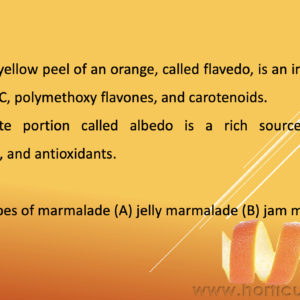 Marmalade PPT